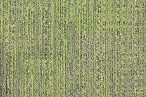 Ковровая плитка Milliken Dissident 2.0 dst 13-141 Renewal фото  | FLOORDEALER